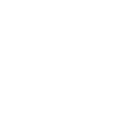 Transylvania_Support_Center