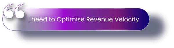 I need to Optimise Revenue Velocity