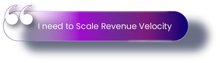 Scale Revenue Velocity